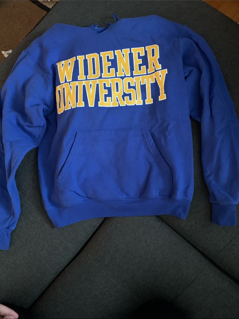 Widener University Blue & Gold Hoodie
